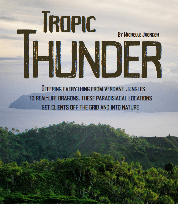 Représentation de l'article Tropic Thunder Explorer, arbres et Lac Kivu