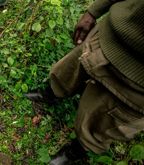 Représentation de l'article Bloodhounds Help in the Fight Against Poaching, garde des Virunga pris de haut, avec ses bottes.