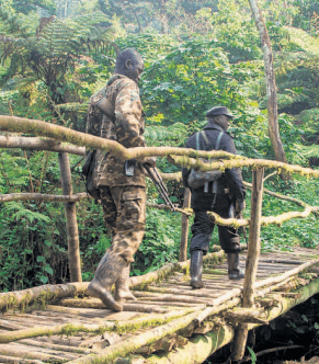 Représentation de l'article The safari reimagined, deux gardes marchant sur un pont dans la brousse